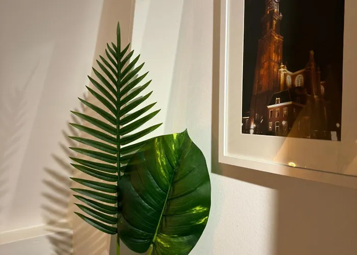 Bed and Breakfast Nine Streets